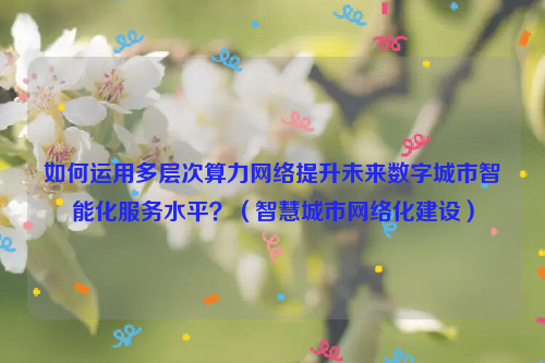 如何运用多层次算力网络提升未来数字城市智能化服务水平？（智慧城市网络化建设）