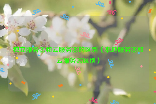 独立服务器和云服务器的区别（本地服务器和云服务器区别）