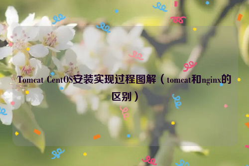 Tomcat CentOS安装实现过程图解（tomcat和nginx的区别）