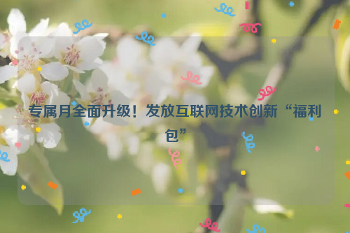 专属月全面升级！发放互联网技术创新“福利包”