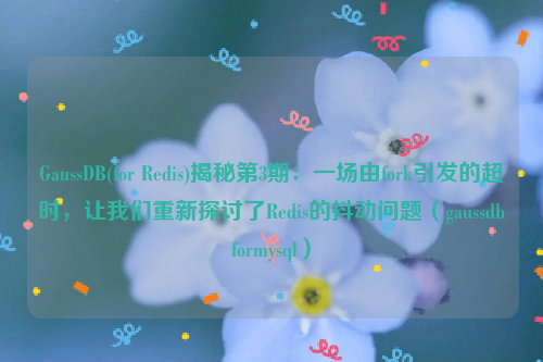 GaussDB(for Redis)揭秘第3期：一场由fork引发的超时，让我们重新探讨了Redis的抖动问题（gaussdbformysql）