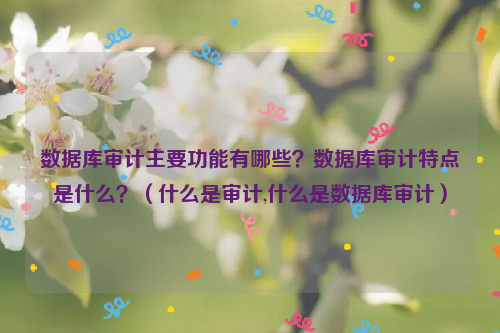 数据库审计主要功能有哪些？数据库审计特点是什么？（什么是审计,什么是数据库审计）