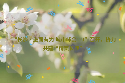 “长沙·进而有为 城市峰会2021”召开，协力共建“精美长沙”