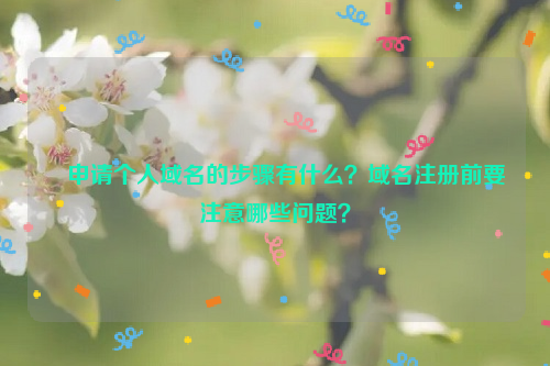 申请个人域名的步骤有什么？域名注册前要注意哪些问题？