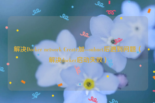 解决Docker network Create加--subnet后遇到问题（解决docker启动失败）