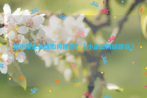 微小型企业该如何建站？（小企业网站建设）