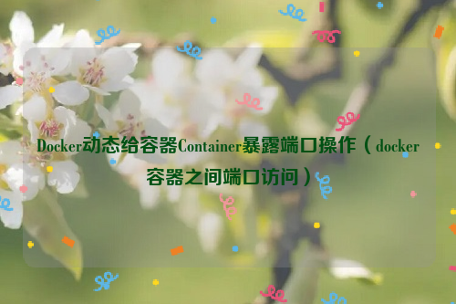 Docker动态给容器Container暴露端口操作（docker容器之间端口访问）