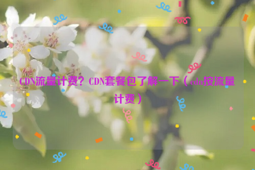 CDN流量计费？CDN套餐包了解一下（cdn按流量计费）