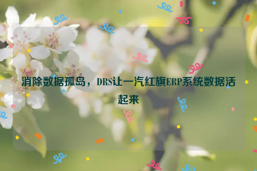 消除数据孤岛，DRS让一汽红旗ERP系统数据活起来