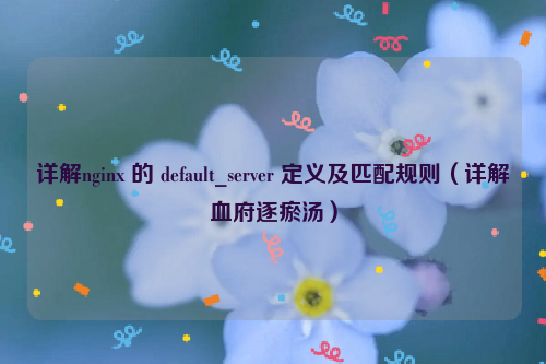 详解nginx 的 default_server 定义及匹配规则（详解血府逐瘀汤）
