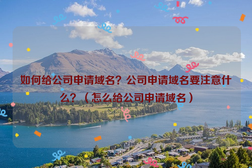 如何给公司申请域名？公司申请域名要注意什么？（怎么给公司申请域名）