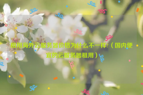租用海外云服务器价格为什么不一样?（国内便宜的云服务器租用）