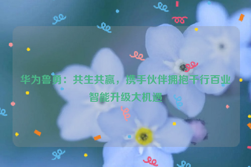 华为鲁勇：共生共赢，携手伙伴拥抱千行百业智能升级大机遇