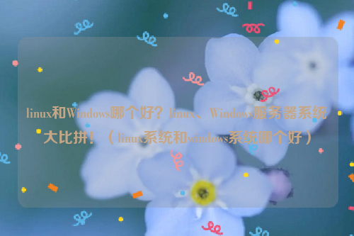linux和Windows哪个好？linux、Windows服务器系统大比拼！（linux系统和windows系统哪个好）