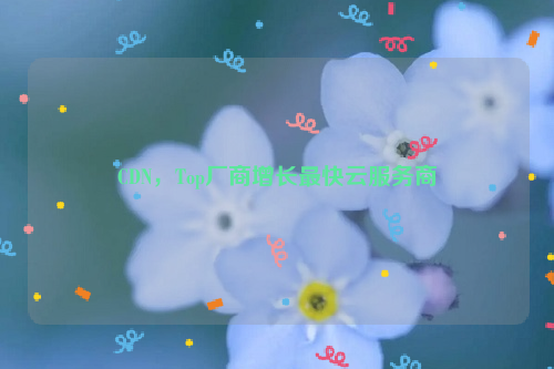 CDN，Top厂商增长最快云服务商
