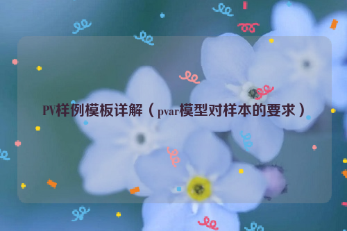 PV样例模板详解（pvar模型对样本的要求）