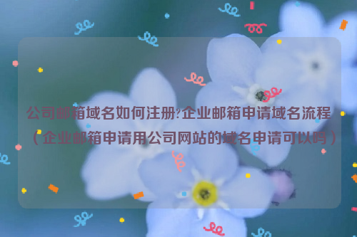 公司邮箱域名如何注册?企业邮箱申请域名流程（企业邮箱申请用公司网站的域名申请可以吗）