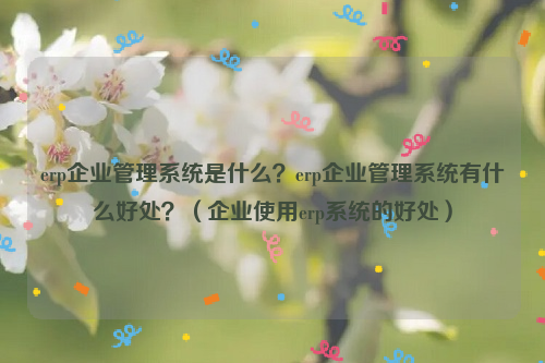 erp企业管理系统是什么？erp企业管理系统有什么好处？（企业使用erp系统的好处）