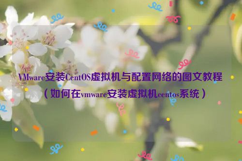 VMware安装CentOS虚拟机与配置网络的图文教程（如何在vmware安装虚拟机centos系统）