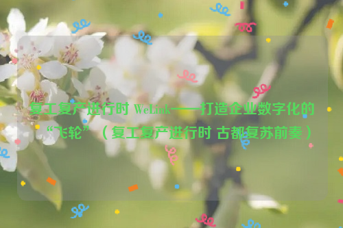 复工复产进行时 WeLink——打造企业数字化的“飞轮”（复工复产进行时 古都复苏前奏）