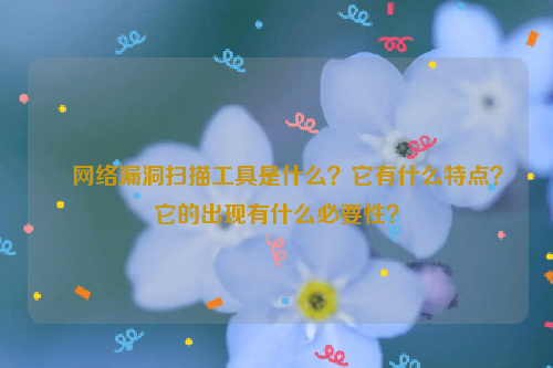 网络漏洞扫描工具是什么？它有什么特点？它的出现有什么必要性？