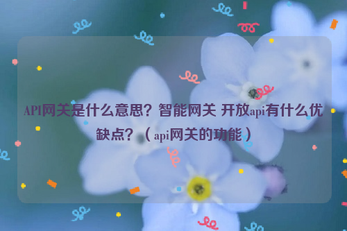 API网关是什么意思？智能网关 开放api有什么优缺点？（api网关的功能）