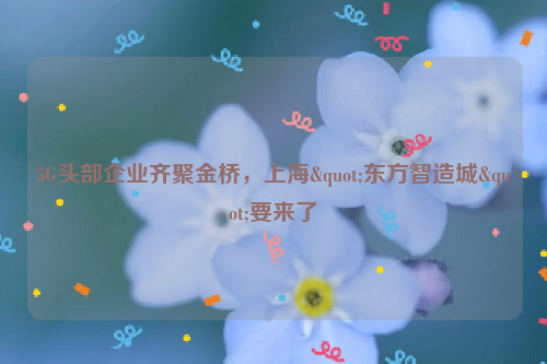 5G头部企业齐聚金桥，上海"东方智造城"要来了