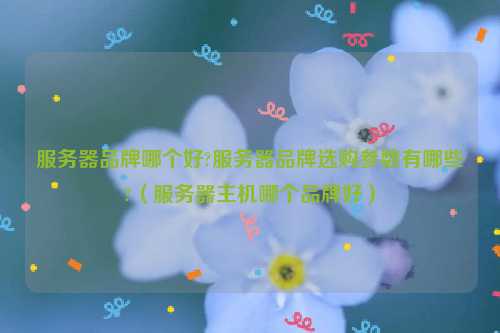 服务器品牌哪个好?服务器品牌选购参数有哪些?（服务器主机哪个品牌好）