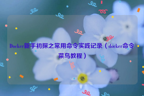 Docker新手初探之常用命令实践记录（docker命令菜鸟教程）