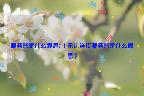 服务器是什么意思?（无法连接服务器是什么意思）