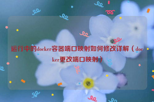 运行中的docker容器端口映射如何修改详解（docker更改端口映射）