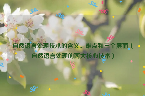 自然语言处理技术的含义、难点和三个层面（自然语言处理的两大核心技术）