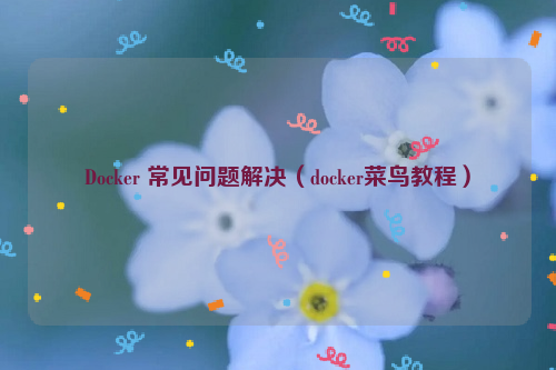 Docker 常见问题解决（docker菜鸟教程）