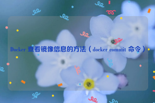 Docker 查看镜像信息的方法（docker commit 命令）