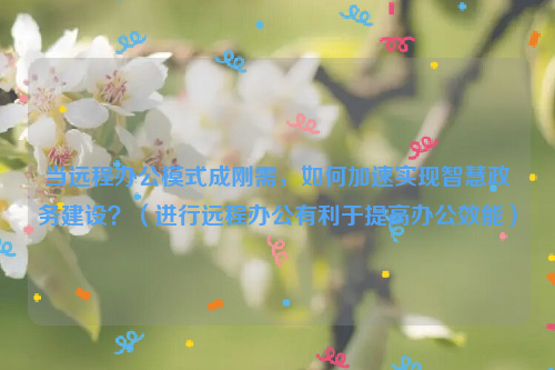 当远程办公模式成刚需，如何加速实现智慧政务建设？（进行远程办公有利于提高办公效能）