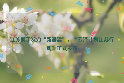 江苏携手发力“新基建”，“云泽计划江苏行动”正式发布