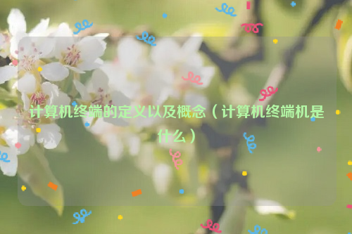 计算机终端的定义以及概念（计算机终端机是什么）