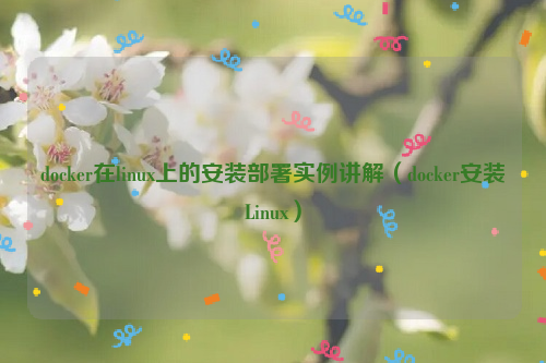 docker在linux上的安装部署实例讲解（docker安装Linux）