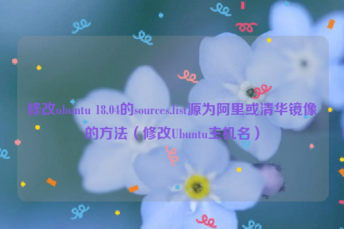 修改ubuntu 18.04的sources.list源为阿里或清华镜像的方法（修改Ubuntu主机名）
