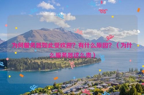 为何服务器如此受欢迎？有什么原因？（为什么服务器这么贵）