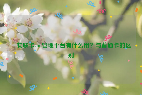 物联卡sim管理平台有什么用？与普通卡的区别