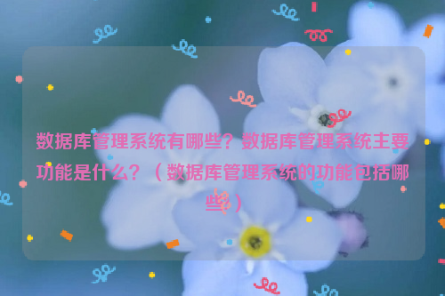 数据库管理系统有哪些？数据库管理系统主要功能是什么？（数据库管理系统的功能包括哪些?）