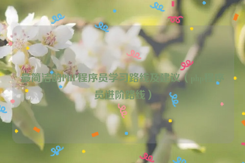 最简洁的PHP程序员学习路线及建议（php程序员进阶路线）