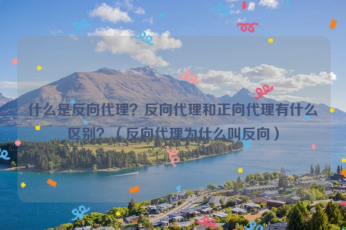 什么是反向代理？反向代理和正向代理有什么区别？（反向代理为什么叫反向）