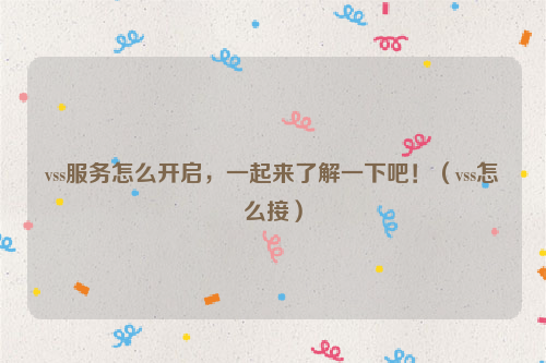vss服务怎么开启，一起来了解一下吧！（vss怎么接）