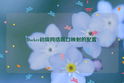 Docker初级网络端口映射的配置