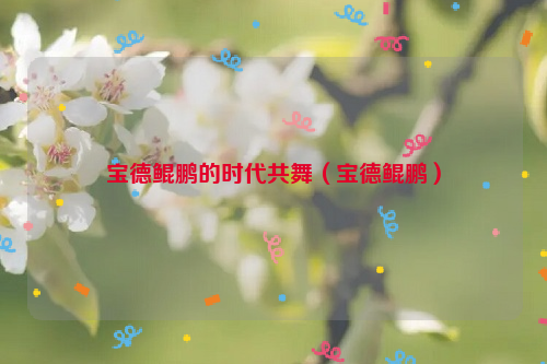 宝德鲲鹏的时代共舞（宝德鲲鹏）