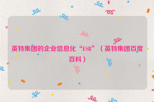 英特集团的企业信息化“ESB”（英特集团百度百科）
