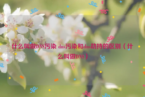 什么叫做DNS污染 dns污染和dns劫持的区别（什么叫做DNS）