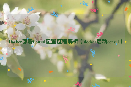 Docker部署Consul配置过程解析（docker启动consul）